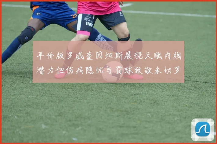 平价版罗威奎因坦斯展现天赋内线潜力但伤病隐忧与罚球致敬米切罗
